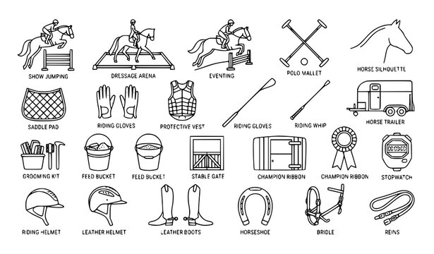 Title:
Horse Riding Competition and Equestrian Equipment Flat Line Icon Collection Vector