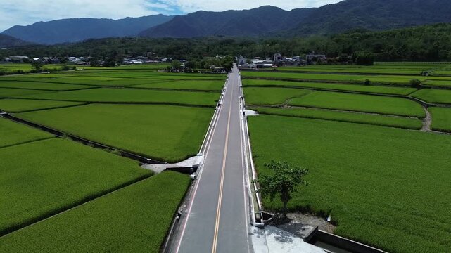 Scenic aerial shot flying over a long straight paved road cutting through lush green rice fields