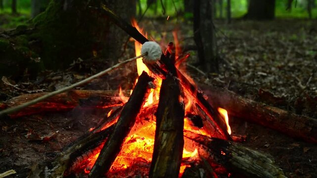 Toasting delicious marshmallow candy over open campfire pit in summer woods with authentic crisp sound of burning firewood logs, sparks popping and relaxing birds chirping ASMR
