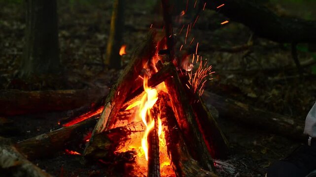 Camper hand throwing a large wood log into bright burning forest campfire with original audio of loud fire crackling, popping embers, sparks flying and peaceful wild birds singing in background ASMR