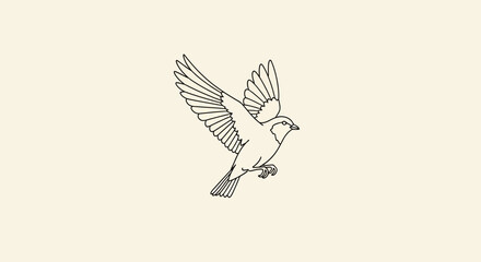 Fototapeta premium Minimalist Line Art Illustration of a Flying Bird
