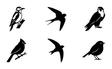 Fototapeta premium Bird Silhouettes Collection: Woodland, Garden, and Sky Dwellers, Vector Icons