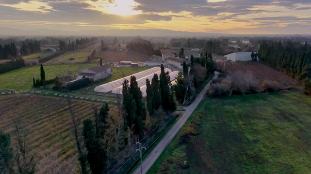 Aerial drone view of vineyards and countryside at sunrise in Provence, France