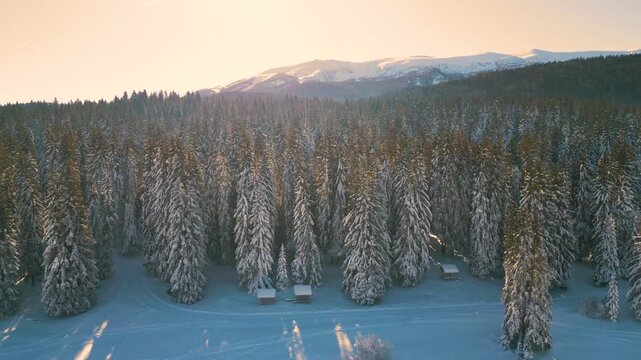 Aerial view of snow covered forests on Bjela&scaron;nica and Igman mountains in Bosnia and Herzegovina during winter