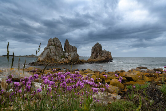 Joli paysage de la c&ocirc;te bretonne