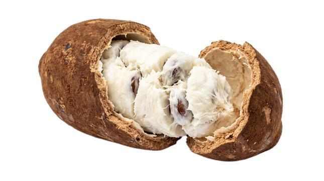 A Shea nut cut open to reveal its creamy white interior on transparent background Typical brazilian food,