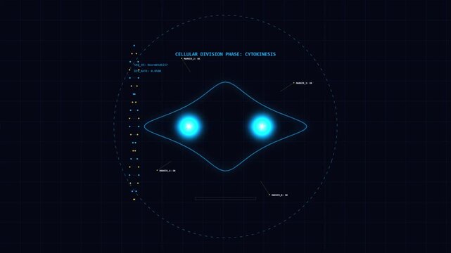Futuristic digital animation of a cell division process prophase stage