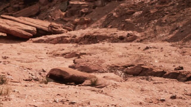 A dry landscape shows large rocks scattered on the ground with patches of grass. The scene captures a remote area under clear skies during daytime with little vegetation.