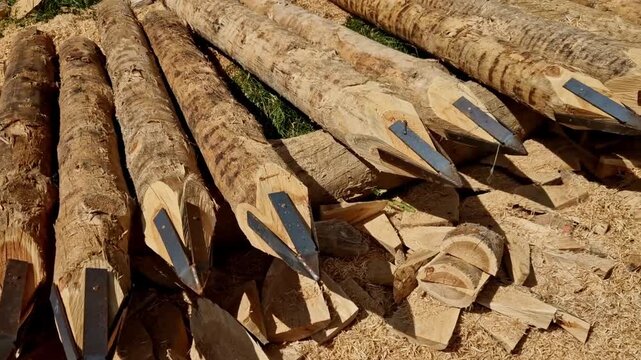 Wooden posts featuring reinforced metal tips serve as highly durable foundation elements for constructing fences and enclosures or for bank stabilization. These metal tips&mdash;attached with nails or screw