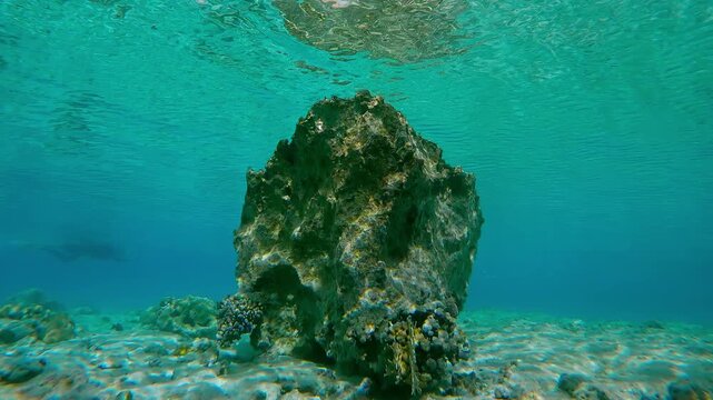A beautiful fossilized coral array in shallow water, reflected in the emerald surface during calm