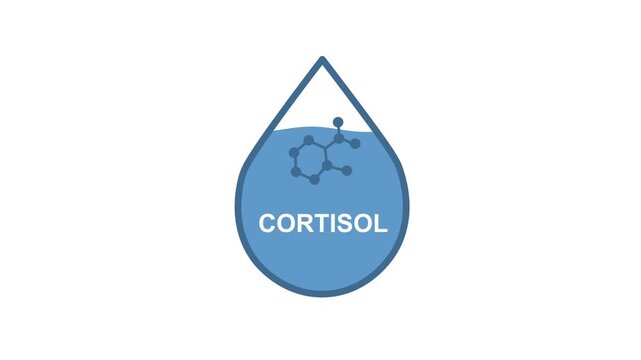 Cortisol Hormone Level Rising and Filling Inside Blood Blue Drop Animation With Molecular Structure. Minimal Medical of Stress Response, Hormone Measurement, Endocrine Health