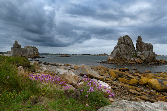 Joli paysage de la c&ocirc;te bretonne