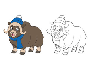 Naklejka premium Happy Baby Musk Ox Cartoon Illustration. Colored Arctic Animal Character with Printable Black and White Coloring Page for Kids.