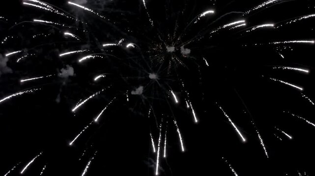 夜空に打ち上がる華やかな花火大会の打上花火