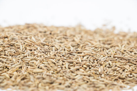 Whole Cumin Seeds on White Background