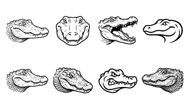Hand Drawn Alligator Head Line Art Icon Collection in Black and White for Wildlife Design