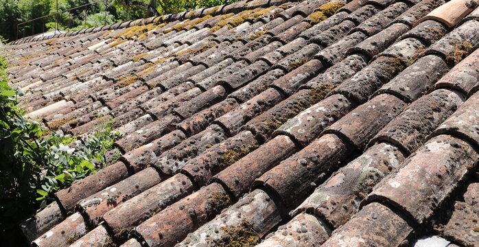 Weathered Clay Roof Tiles with Moss and Lichen on Traditional Building