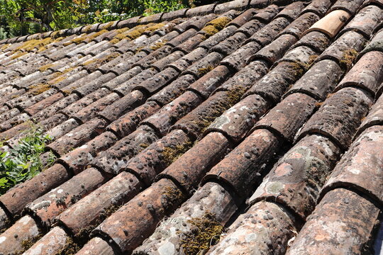 Weathered Clay Roof Tiles with Moss and Lichen on Traditional Building