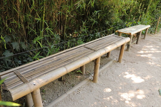 Rustic Bamboo Bench in a Natural Garden Setting