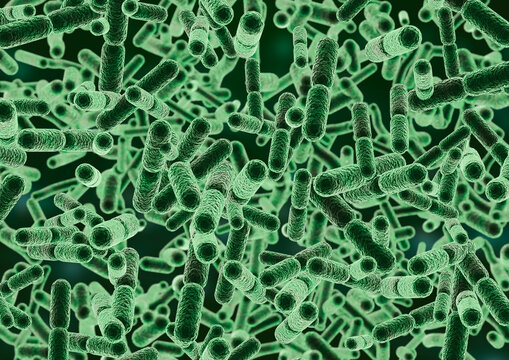 High detail Agrobacterium tumefaciens bacteria suspended in a microscopic environment. Scientific background for biotechnology, microbiology, plant pathology, genetic engineering, agriculture.