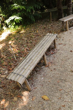 Rustic Bamboo Bench in a Natural Garden Setting