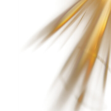 Golden light rays beaming diagonally across dark black background, warm sunburst glow effect for luxury design overlay
