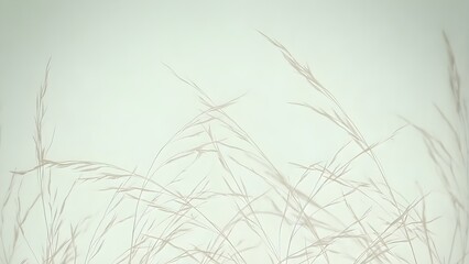 Fototapeta premium 밝은 배경 위로 드리워진 길쭉한 풀 잎의 그림자가 차분한 자연의 느낌을 전달 Shadows of long grass leaves cast on a bright background, conveying a calm natural feeling