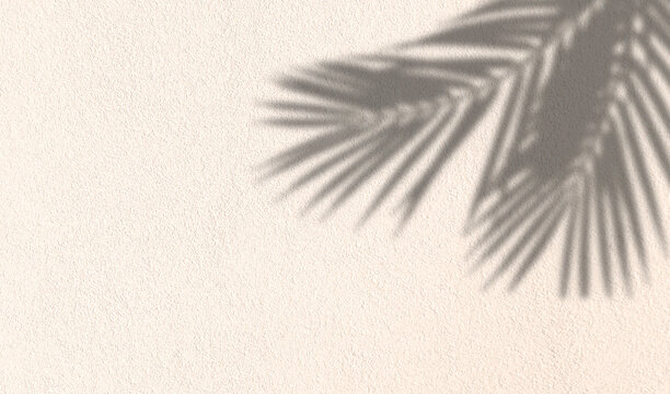 Aesthetic abstract minimalist background with natural palm leaf shadow on beige textured stucco wall