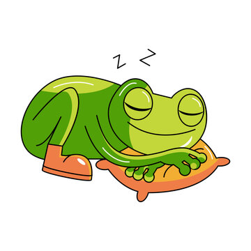Frog sleeping peacefully on a pillow.