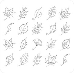 Fototapeta premium Autumn Leaves Outline Icon Set – Hand Drawn Fall Leaf Collection, Minimal Botanical Line Art, Vector Style Clipart