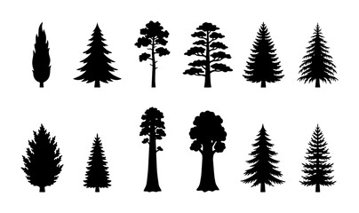 Coniferous Tree Silhouettes Collection: Evergreen Forest Icons, Pine, Fir, Cedar, Sequoia Vector Graphics for Nature Design © pixostudio