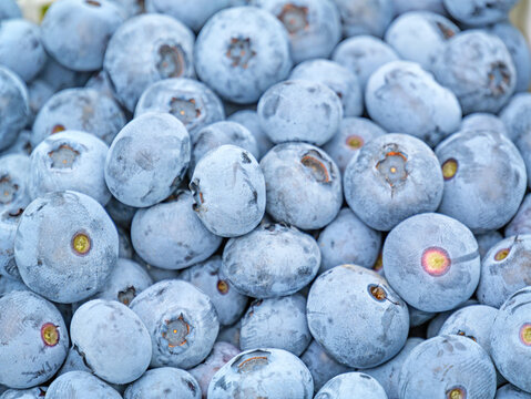Full-Frame Close-Up of Fresh Ripe Blueberries