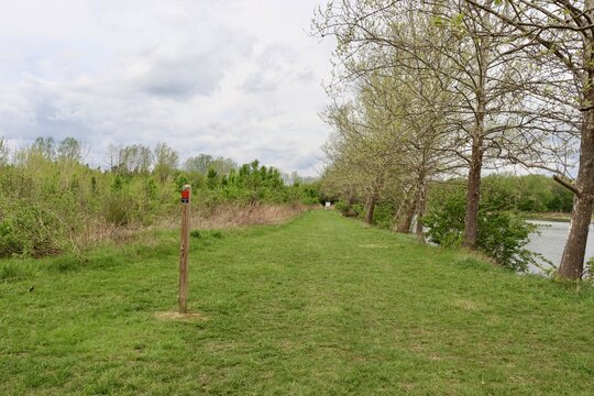 The green grass path in the country on a cloudy day.