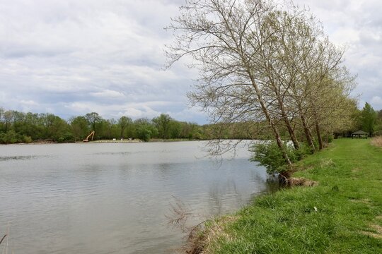 The flowing river in the woods on a cloudy day.