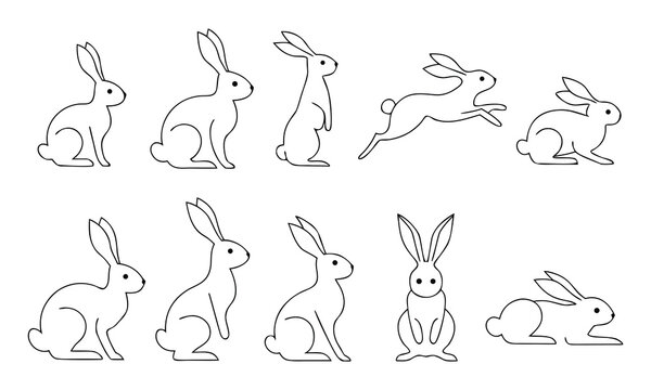 Rabbit silhouettes in various poses a collection of linear vector illustrations on a white background hare bunny leporidae animal mammal