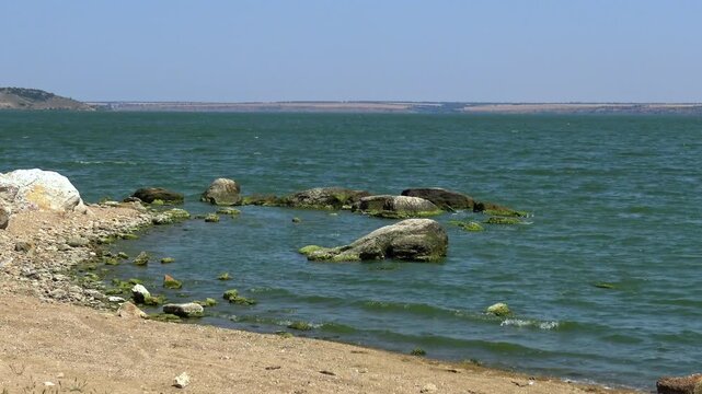 View of a lagoon with green algal bloom caused by Ulva intestinalis (synonym: Enteromorpha intestinalis)