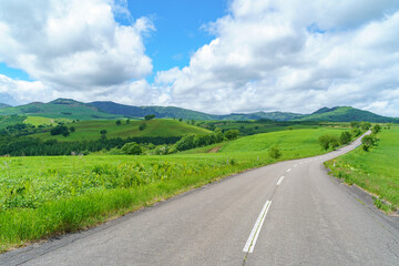 Scenic road through lush green Naitai Highland Farm in Kamishihoro, Tokachi, Hokkaido, Japan © ibuki
