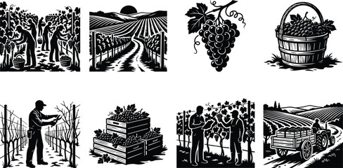 Obraz premium Set of black vineyard silhouette illustrations featuring grape harvest, farm workers, and viticulture landscapes