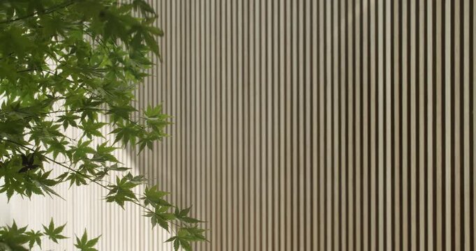Green leaves of a Japanese maple tree gently sway against a backdrop of a modern wooden slat wall. Sunlight filters through, creating a calming, minimalist aesthetic.