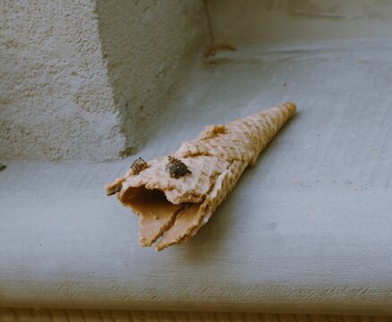cono mostruoso