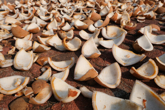 Close up of sun-dried coconut meat pieces for copra oil production. Natural agricultural raw material with detailed texture. Suitable for food industry, tropical farming, and edible oil concepts