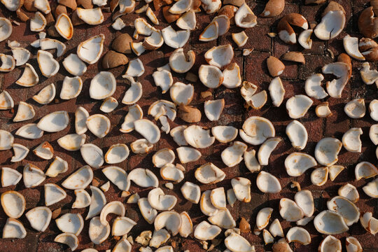 Top view of sun-dried coconut meat copra pieces on pavement. Natural agricultural product with rich texture. Suitable for coconut industry, food production, farming, and tropical agriculture concepts