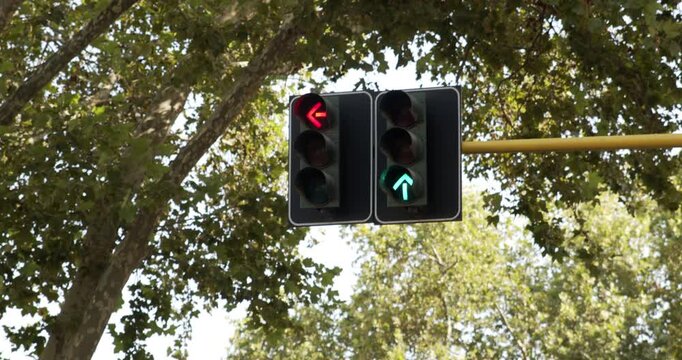 Traffic lights framed by green trees, with the straight arrow signal remaining green while the left arrow signal transitions from green to red to direct urban road traffic on a sunny day.