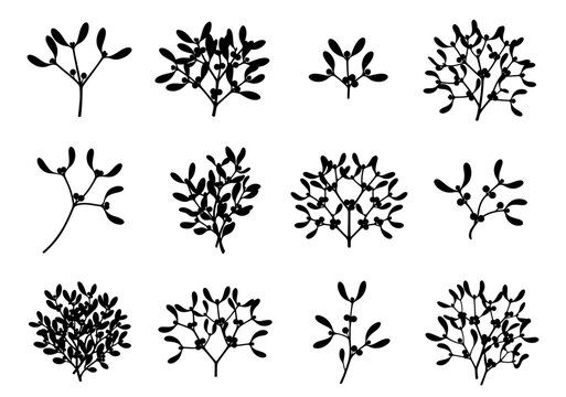 Mistletoe silhouette set in black featuring twelve unique leafy branches with berries and festive botanical forms for seasonal decorative vector