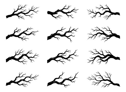 Tree branch silhouette set in black featuring twelve unique leafless limbs with twisting natural forms and intricate woodland details
