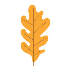 Fototapeta premium Flat vector illustration of a yellow oak leaf for autumn design.