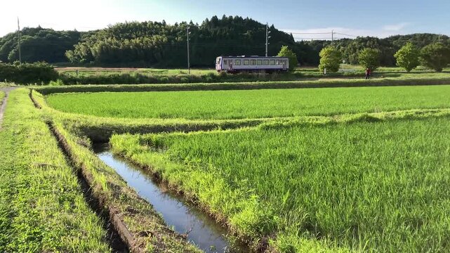 JR Kansai Line &ndash; Wide View of Single Car Train Passing Through Countryside in 4K 60fps