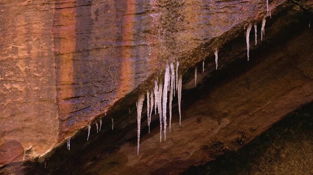 Water drips down the face of a sandstone cliff oxidized with orange and black stripes while icicles form on an arching overhang on the Riverside trail in Zion National Park Utah USA. 