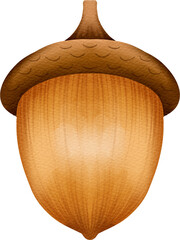 Large brown acorn watercolor style © Je