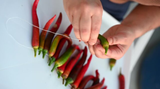 Video footage of hands threading hot chili peppers to create a traditional Italian 'resta' garland for drying. Concept of culinary craftsmanship, organic food preparation and rural traditions